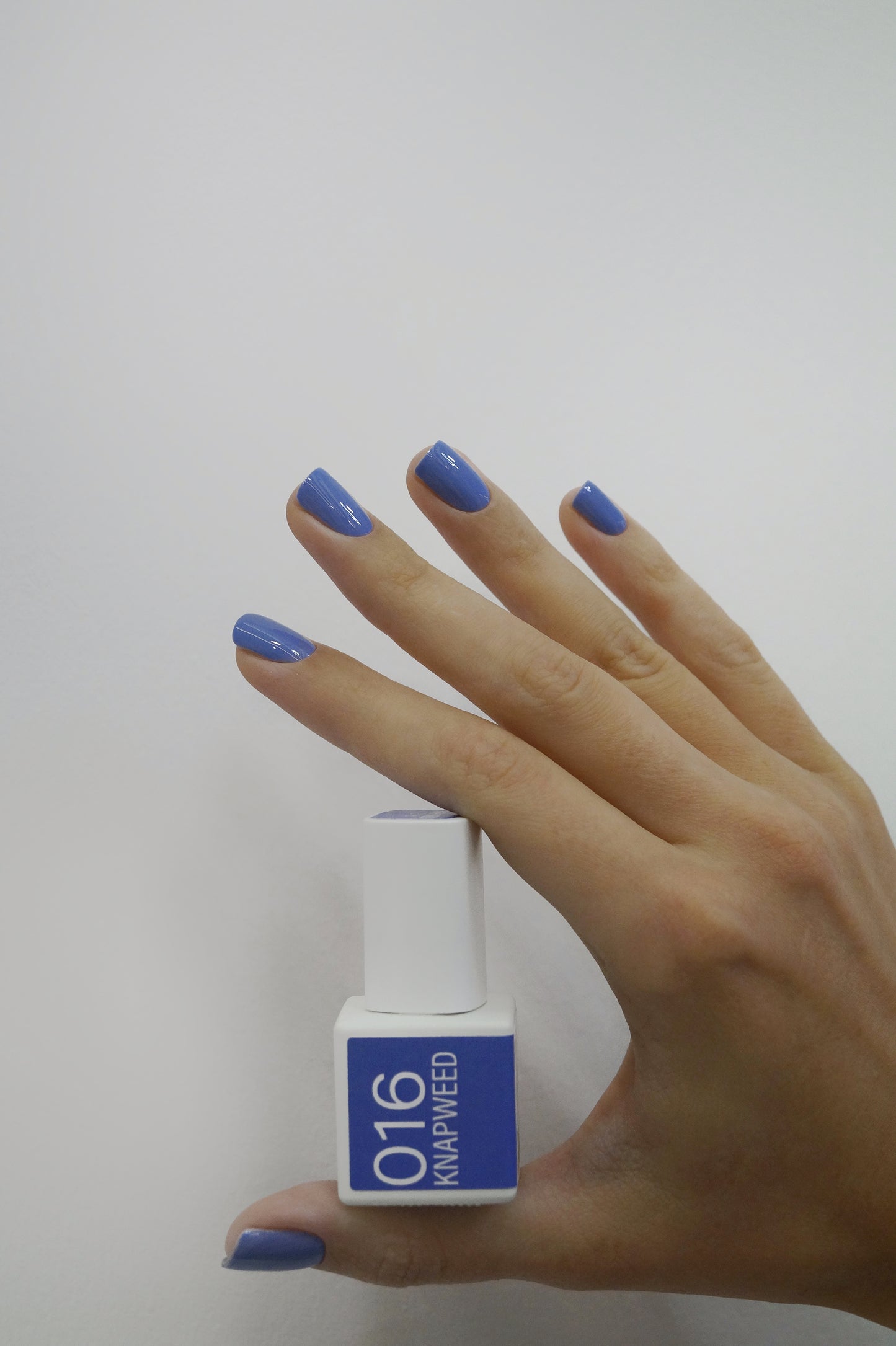 JZ NAILS GROUP — 016 КNAPWEED