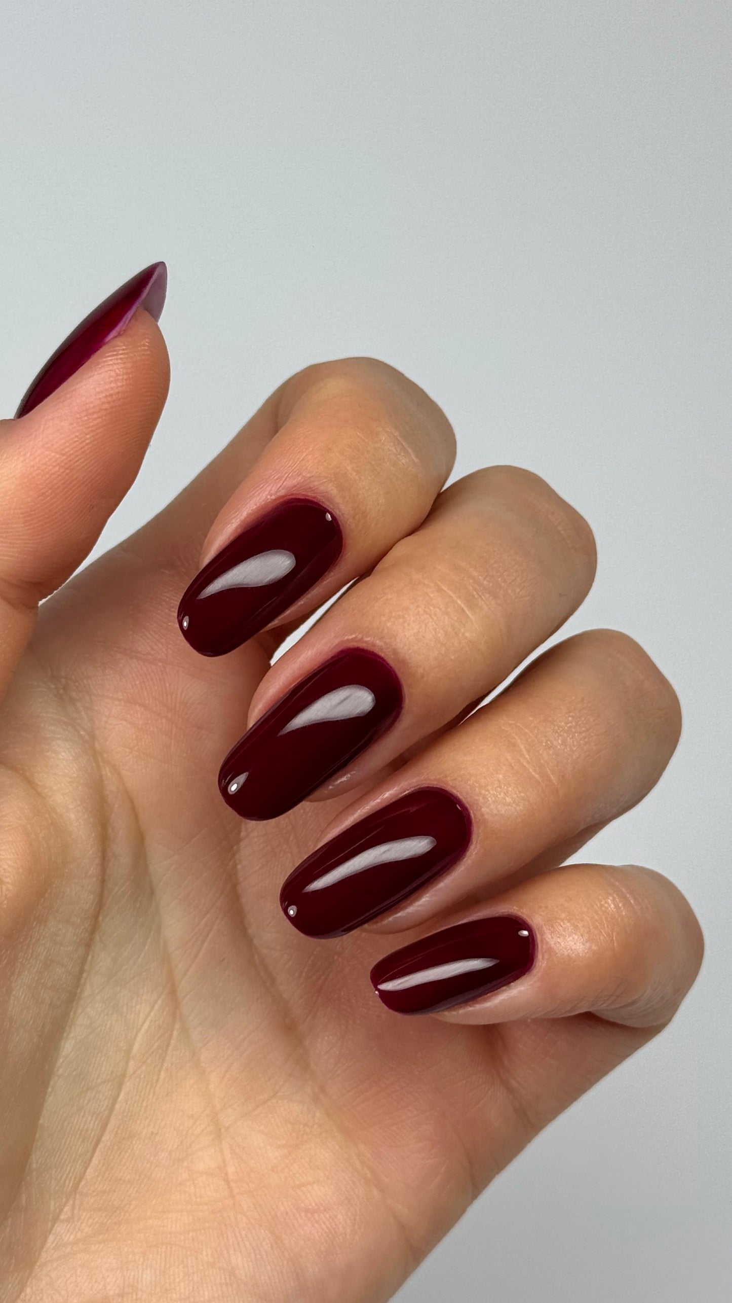 JZ NAILS GROUP — 045 WINE